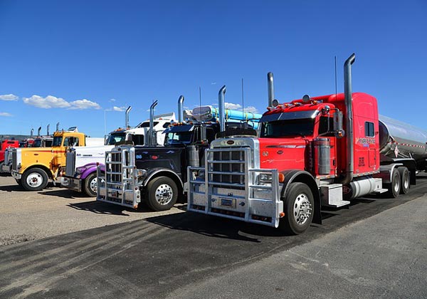 永久免费轰炸电话网页版